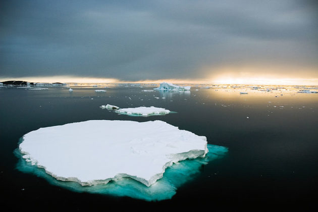 全球暖化擋不住！最新研究：南極融冰量較40年前多6倍