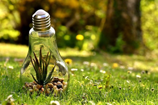植物能發電點亮LED燈泡 怎麼辦到的？