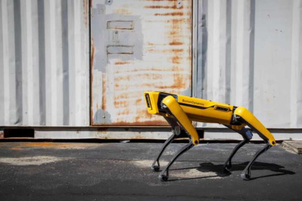 新加坡防疫守門員開賣啦！四足機器人SPOT功能性高…但售價竟要220萬？