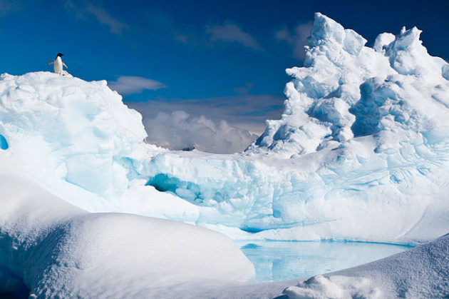 拯救南極海洋！綠色和平攜手搖滾天團「電台司令」共同發聲