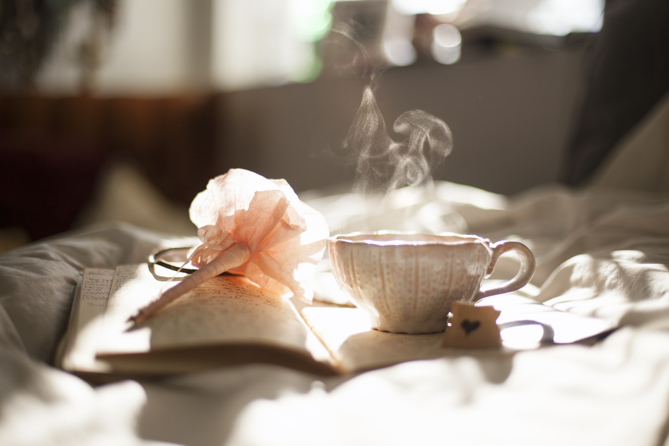 【蔡順山專欄】您喝過冰河時期風味的紅茶嗎？臺茶品種大觀園
