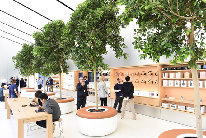 Trees line a second floor retail area for audio accessories at the media preview for a new Apple retail store in San Francisco, California, U.S., May 19, 2016. REUTERS/Noah Berger - RTSF2O2