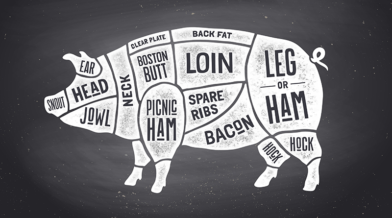 「網易豬」噱頭十足  欲喚起民眾重視食安
