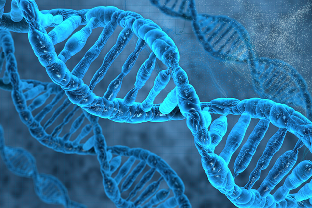 預防遺傳病 美倡基因改造人類胚胎