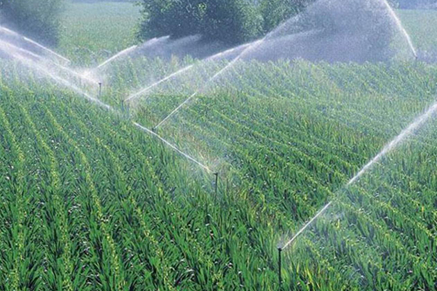 農委會推節水灌溉 可望降低缺水危機
