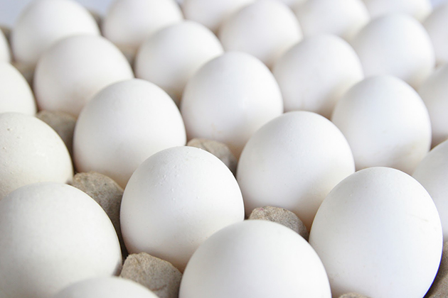 防堵禽流感 農委會：年底全面蛋類洗選