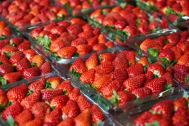 最新邊境查驗不合格食品，又見「日本草莓」！