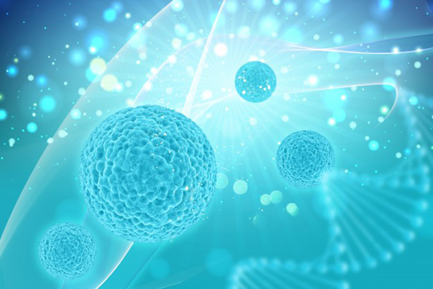 中研院發現多能性幹細胞關鍵：環形RNA