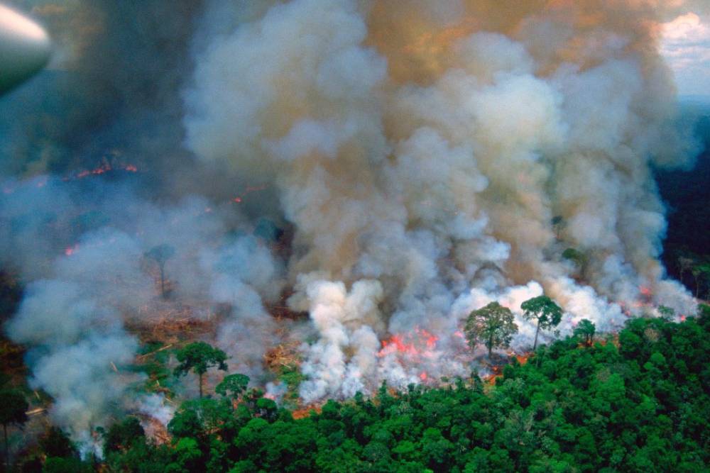 全球關心！亞馬遜野火不停 但網路最多人分享的3張照片卻是「假的」？