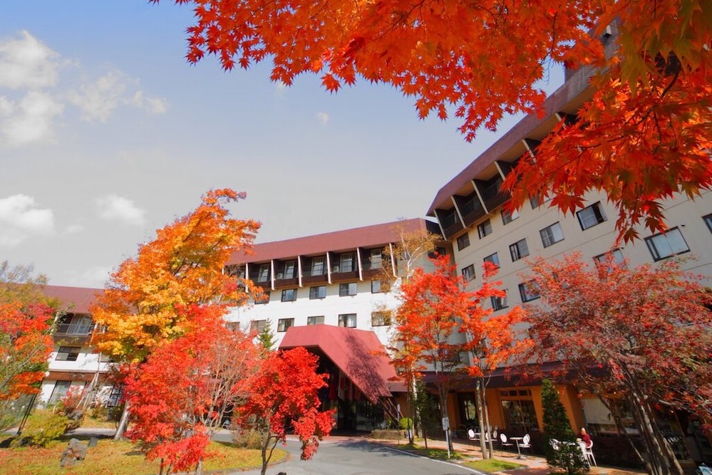 秋冬旅遊還沒規劃？快來參考日本330溫泉旅宿推薦  