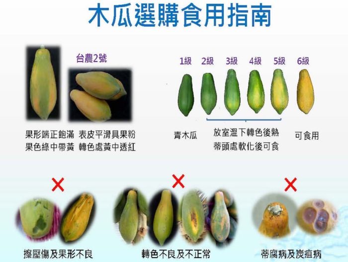 WHO評為最健康水果 品嚐萬壽果正當時    5