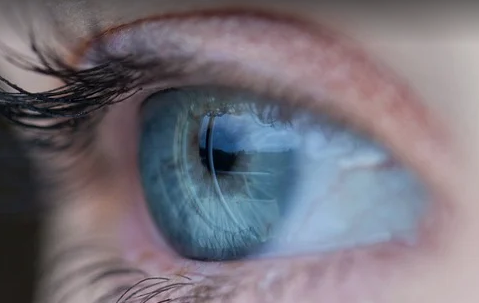 視覺感知如同真人眼睛！鈣鈦礦型視網膜感測器誕生　有望成AI進步墊腳石