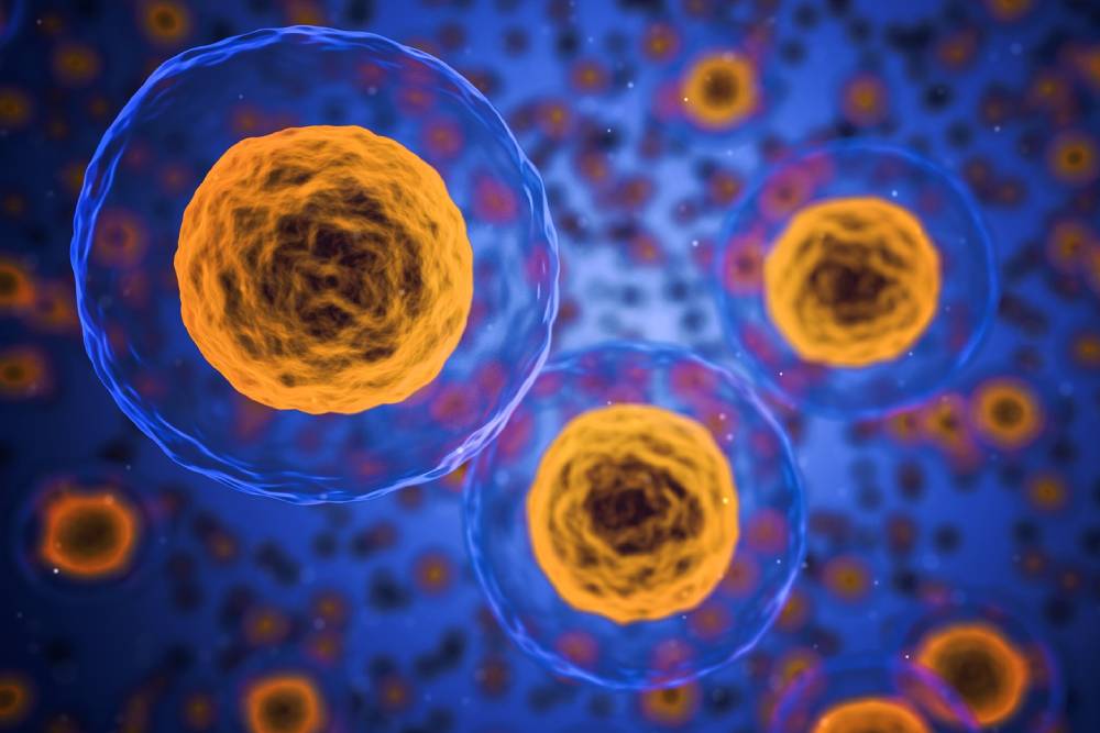 【名家論壇】蕭乃彰 / 再生醫學之自體免疫疾病的細胞療法:「間質幹細胞」有助調節紅斑性狼瘡及類風濕性關節炎之發炎反應