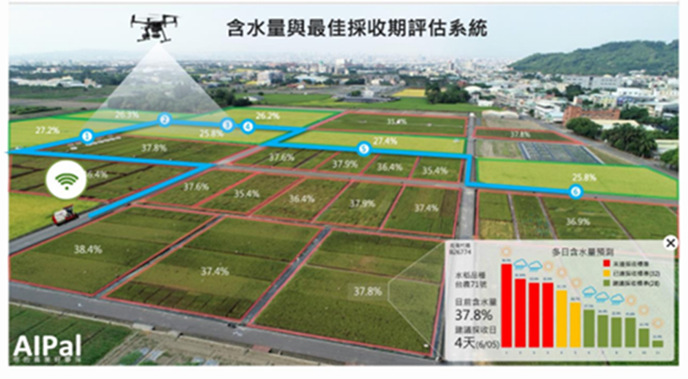 【智在家鄉】無人機與AI上場 智慧農夫優化收穫模式 億萬產值藏在1%差異中！ 9