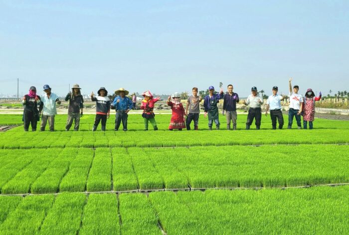 【With Video】Combination of Innovative Agricultural Technology and Unaltered Rice Seeds—Shennong Award Recipient Lin Qingyuan's Testimony to Taiwan's "Formula for Success" in Rice Production 17