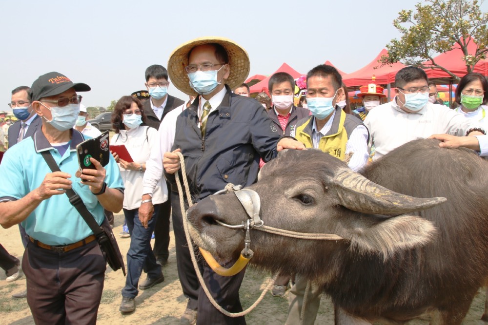 游錫堃自嘲：牛墟節活動有頭牛已活70幾年 就是他這頭台灣水牛