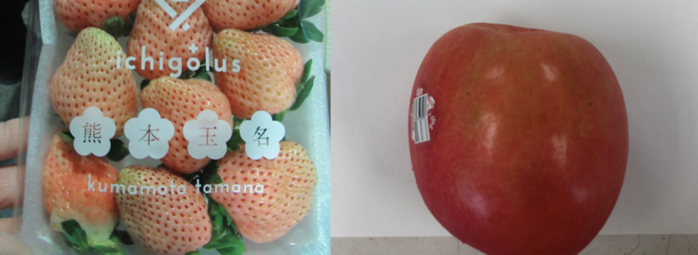 好市多「美國富士蘋果」連兩周遭逮出包！  熊本白草莓查出禁用農藥