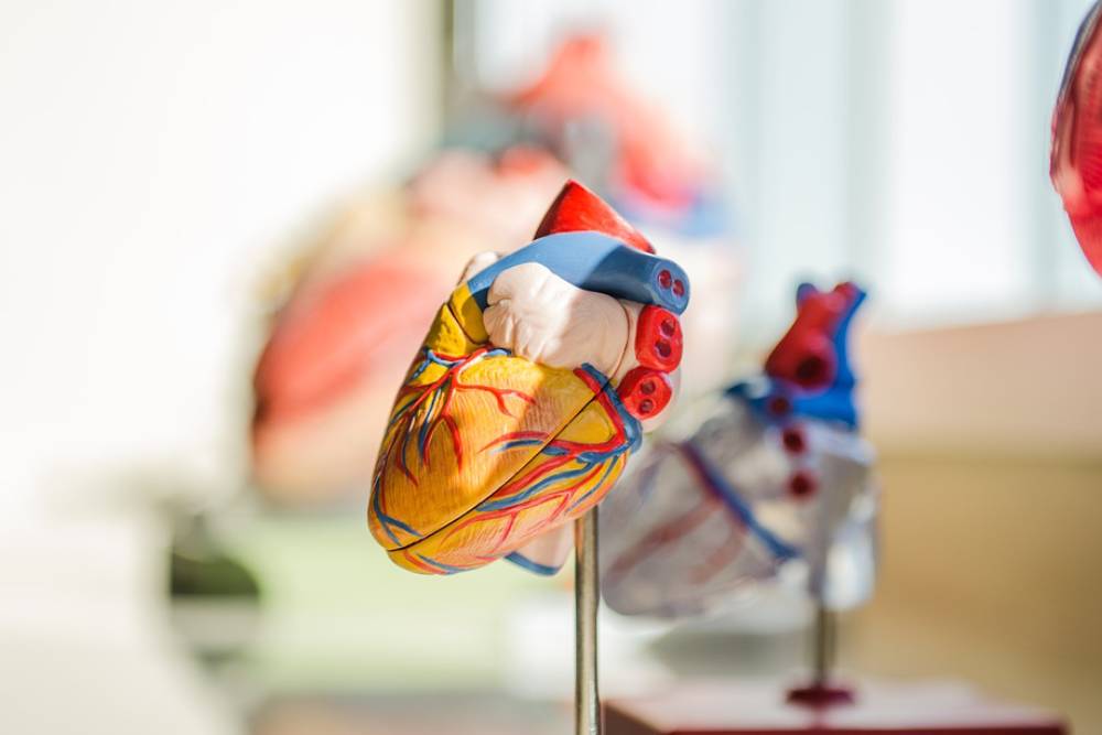 血管、細胞一應俱全！以色列醫療技術再突破 發表3D列印心臟