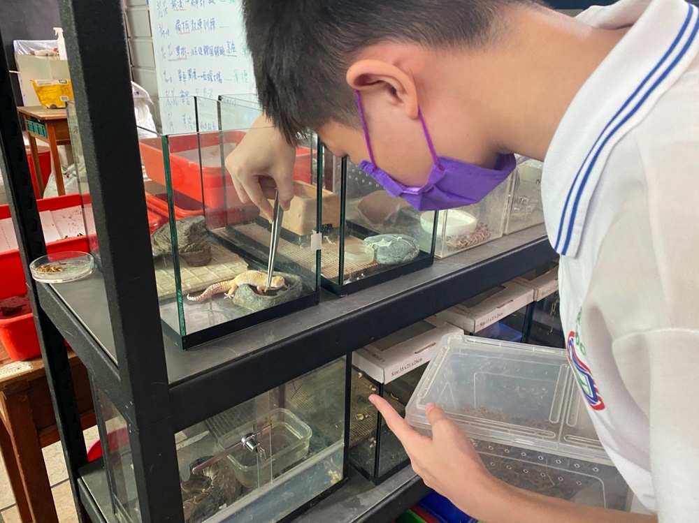 高校認養無主爬蟲　學生照顧實踐生命教育