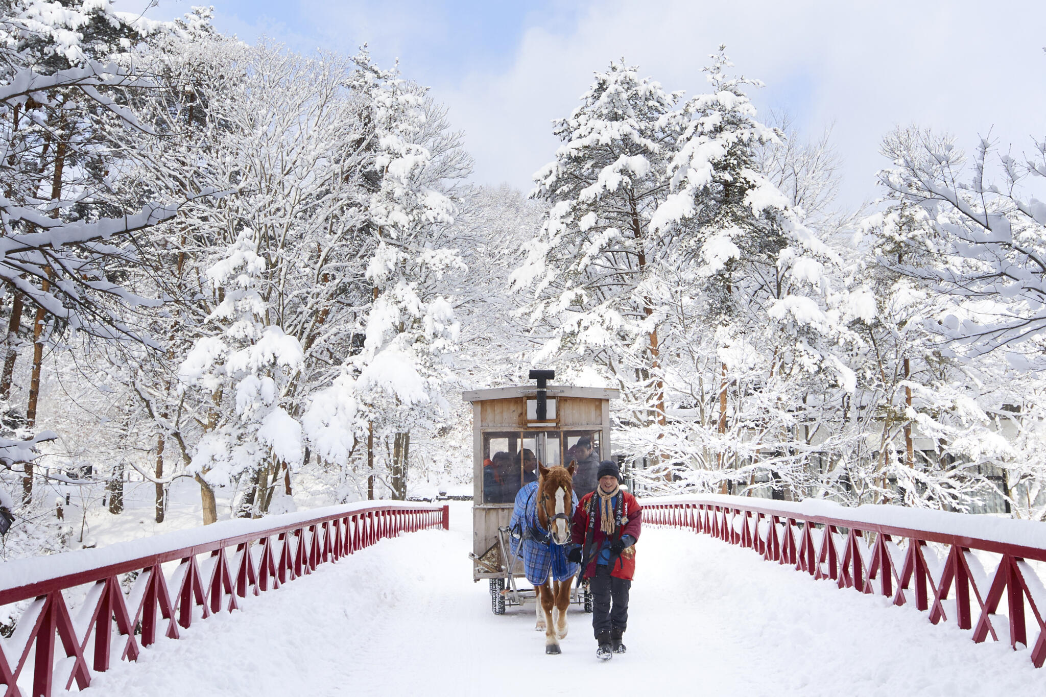 【有影】好想去日本看雪？星野集團各飯店齊推冬季活動 夢幻冰雪旅程美如畫