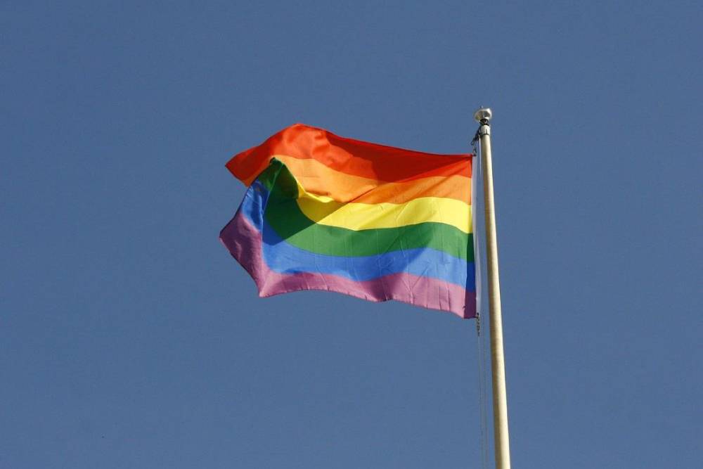 【臺灣調查網】全球民調／反歧視！近 8 成美國民眾支持立法保障 LGBTQ 族群