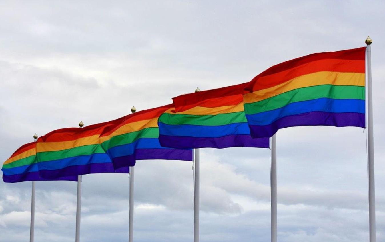 【臺灣調查網】全球民調 / 佛州立法通過「不說同性戀」 六成美國人反對