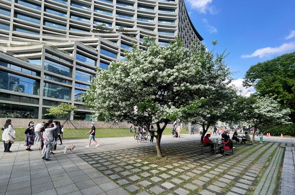 春暖花開出遊正好  松山文創園區假日好去處 17