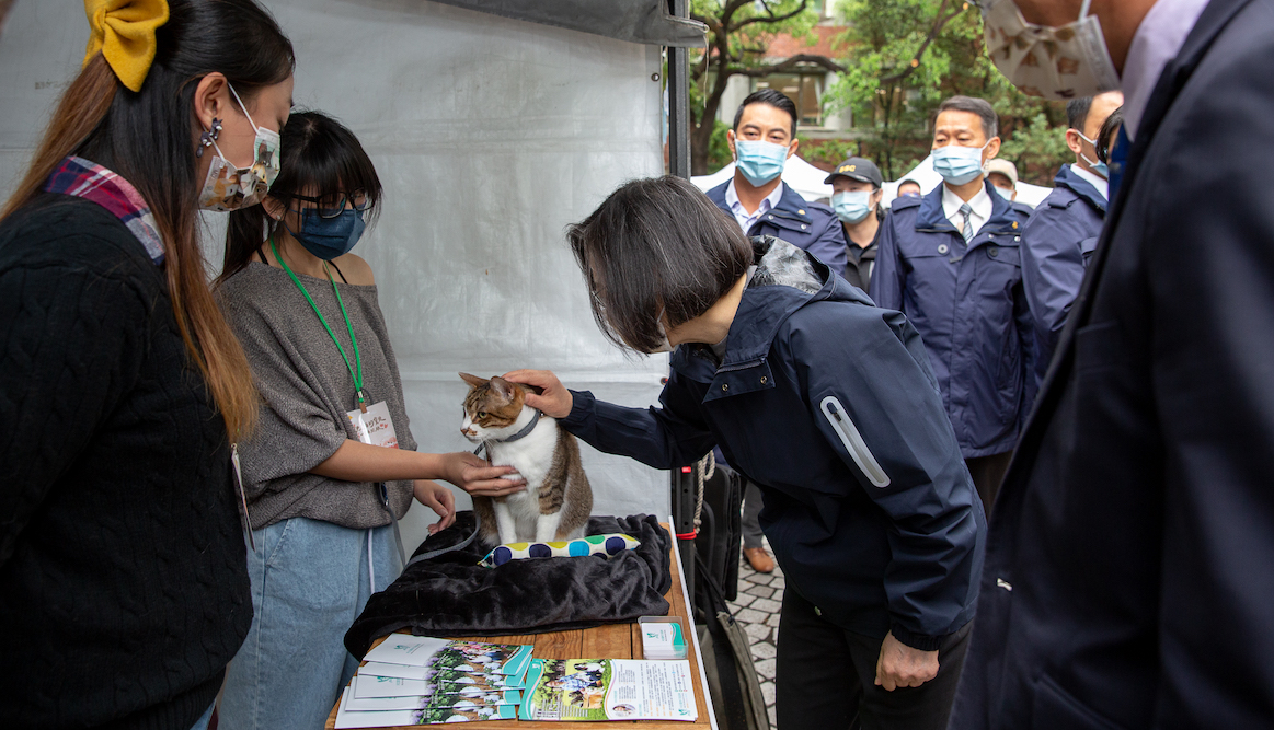 總統蔡英文4月3日上午出席「農委會寵物管理科動起來啟用儀式」，現場與貓咪互動。