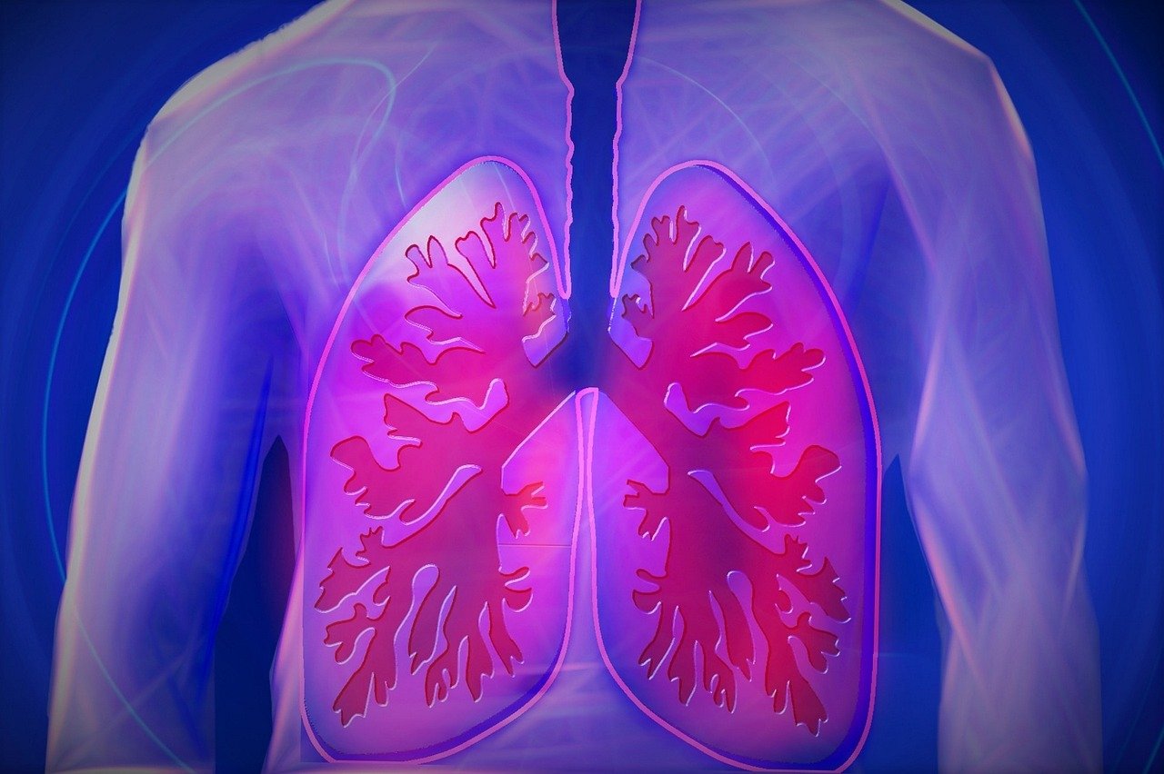 響應世界肺癌日！力拚肺癌存活率倍增 台癌線上活動邀民一同愛肺