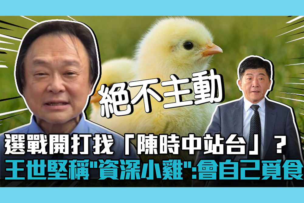 【CNEWS】選戰開打找「陳時中站台」？王世堅稱「資深小雞」：會自己覓食