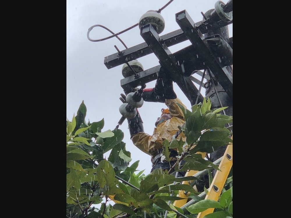軒嵐諾颱風來襲樹斷砸電桿　新北逾三千戶停電搶修中