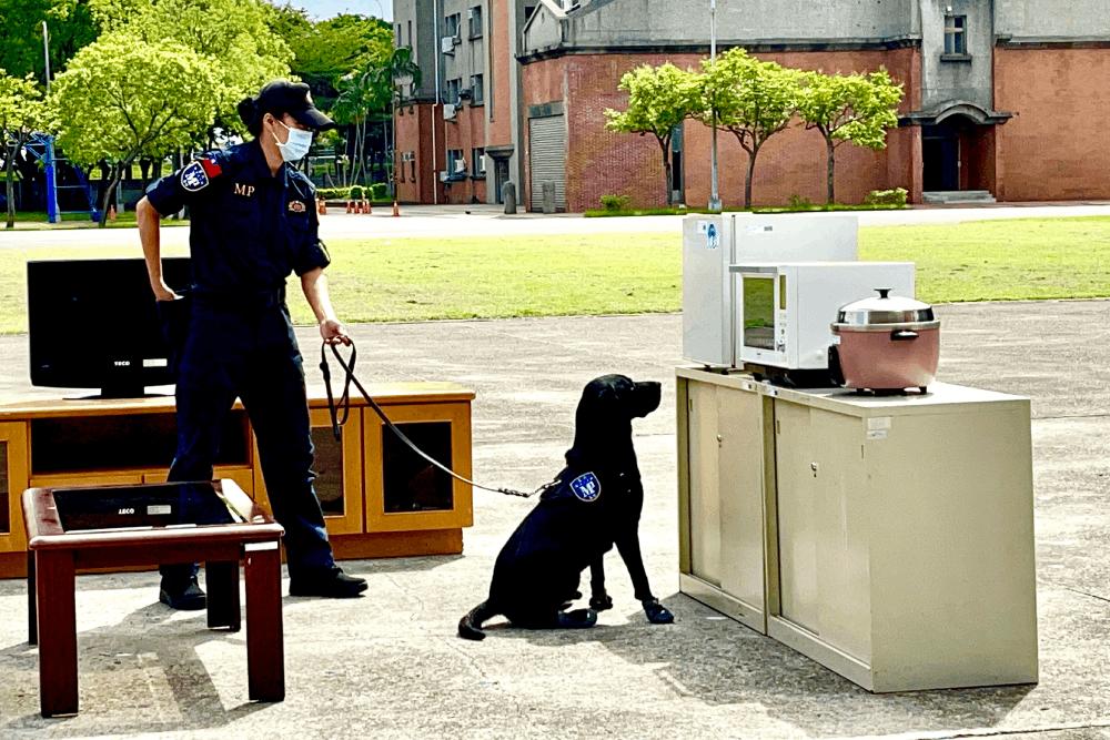 美女領犬員展演緝毒！緝毒犬於教召場次查獲2召員 尿篩呈大麻陽性 17