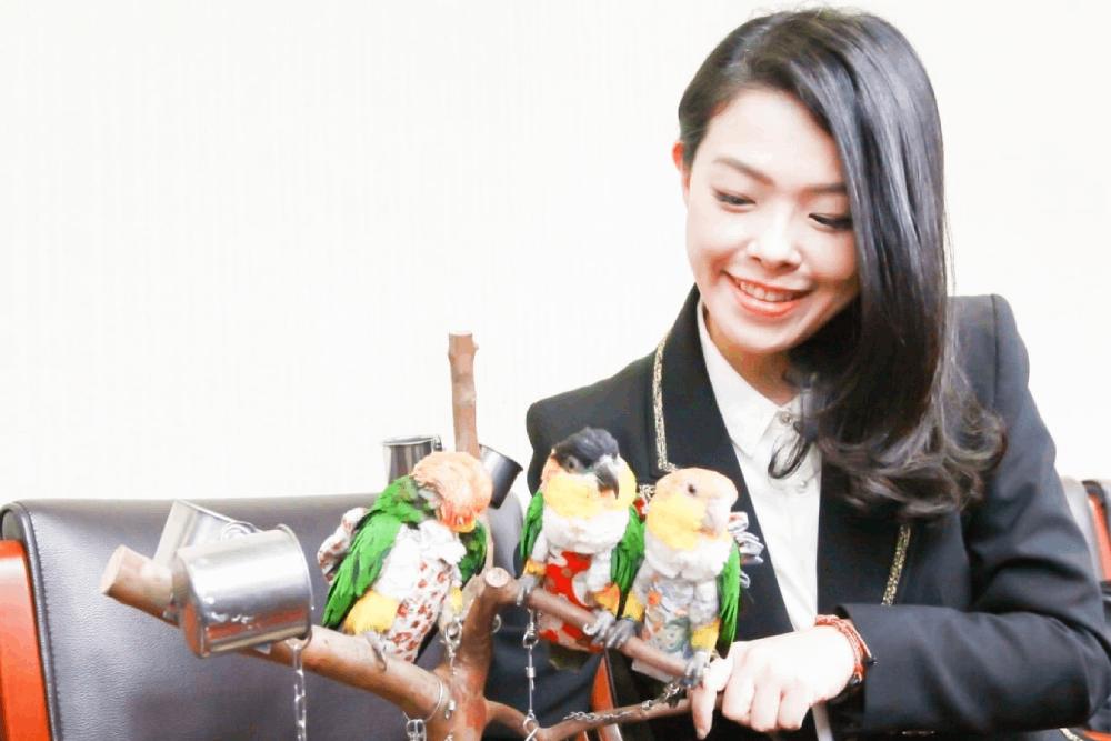 新竹市成動物保護末段班?高虹安揭動物園不當飼養鸚鵡