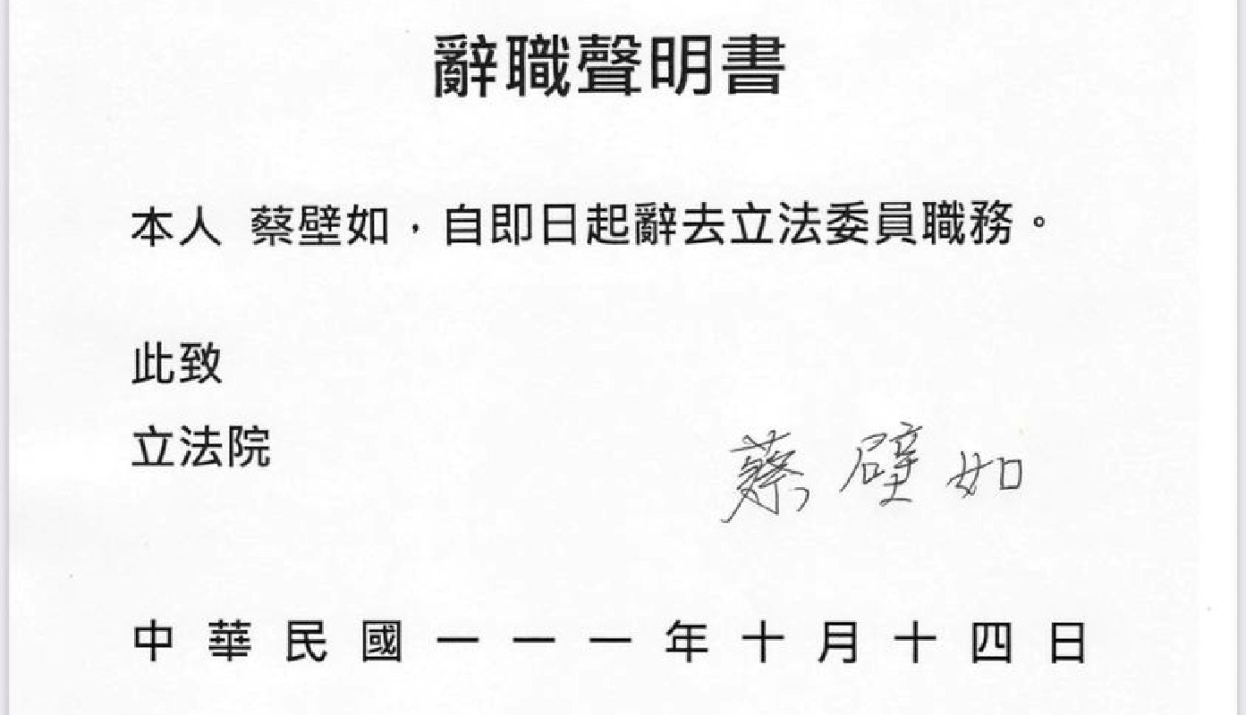 論文風暴／果斷辭了！蔡壁如請辭立委 新光吳欣盈遞補