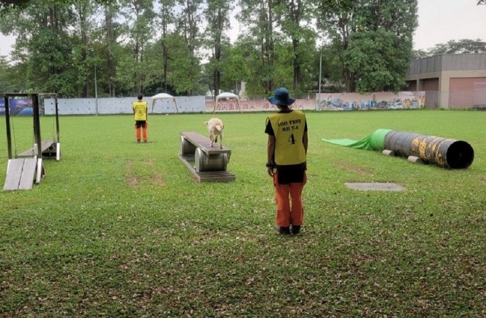 新北消防搜救犬認證升級　能有效強化提升重大災害搜救能力 17