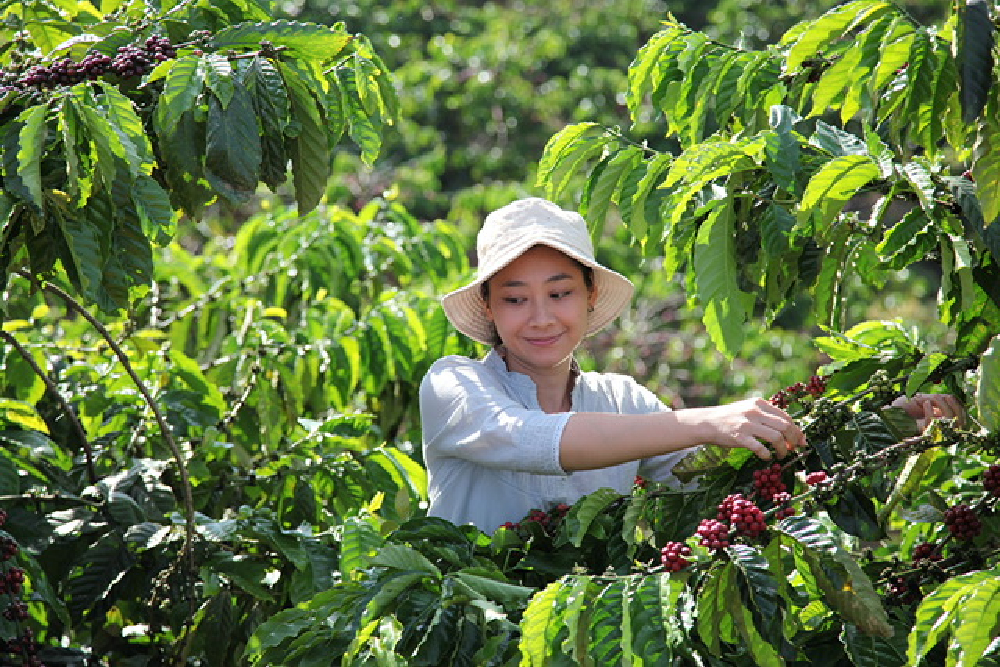 打造咖啡永續產業鏈 雀巢推動永續包裝革新