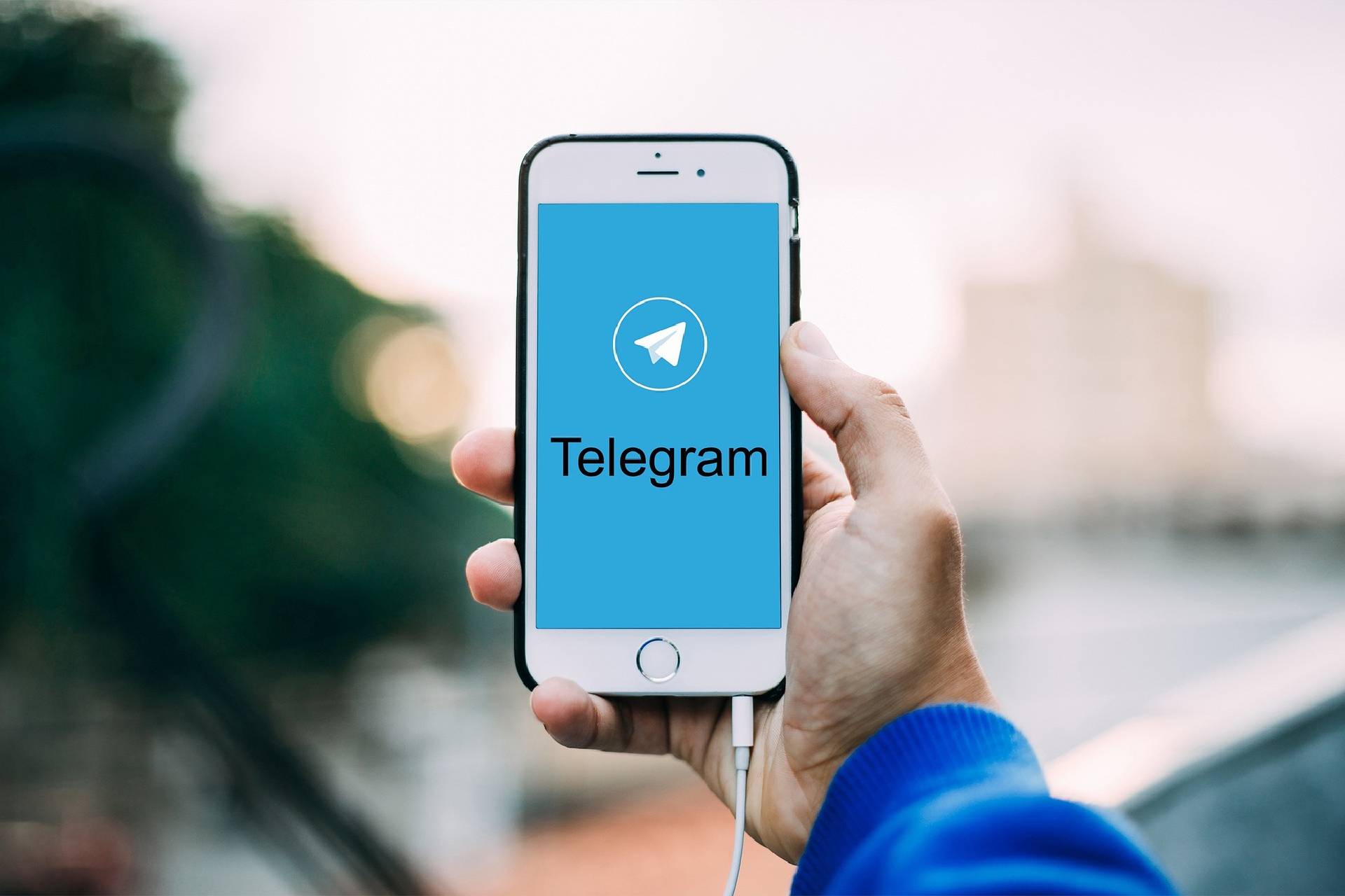 【臺灣調查網】全球民調／美國 打不過！美公佈社群軟體調查發現Telegram用戶仍偏少
