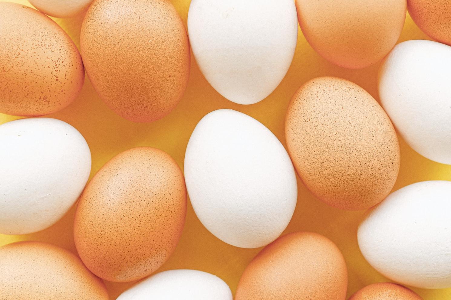 怕膽固醇只吃蛋白？   錯！專家：吃蛋黃可降心血管疾病