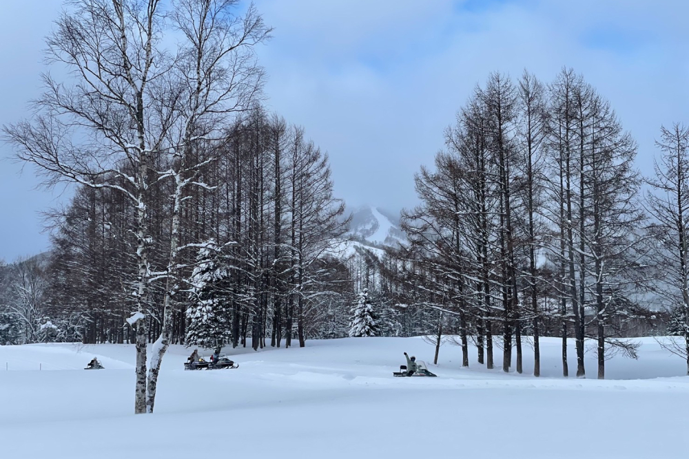 【有影】北海道追雪之旅／解鎖星野TOMAMU 零下七度的白色世界