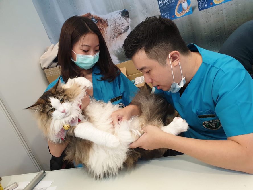 全台最大戶外寵物義診強勢回歸 台北寵物節籲飼主定期帶毛孩健檢