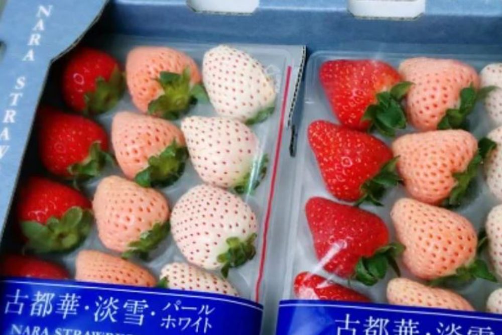 【商品圖片 07】緁迪水果 日本古都華三色草莓