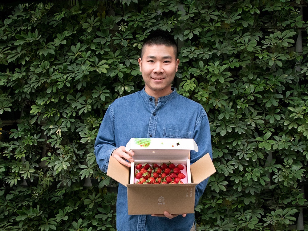 草莓禮盒新包裝！無毒農用行動減塑