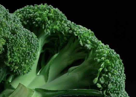 「青花菜種子」變當紅保健品！   食藥署認可「抗氧化」開放做食品原料