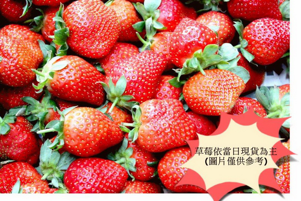全國聯合拍賣會　台南分署生鮮草莓登場