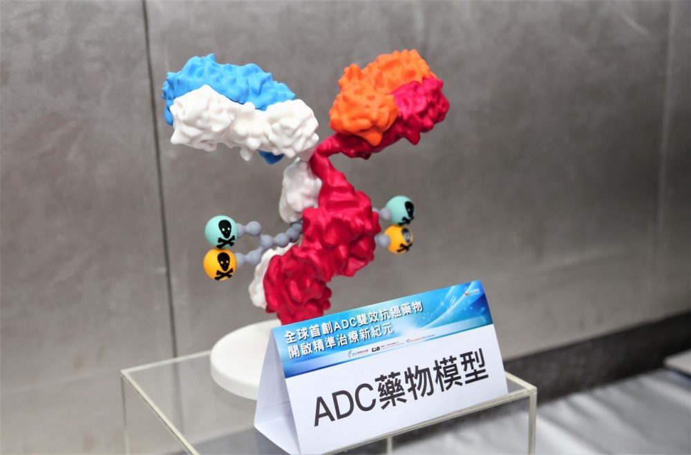 ADC抗體藥物模型