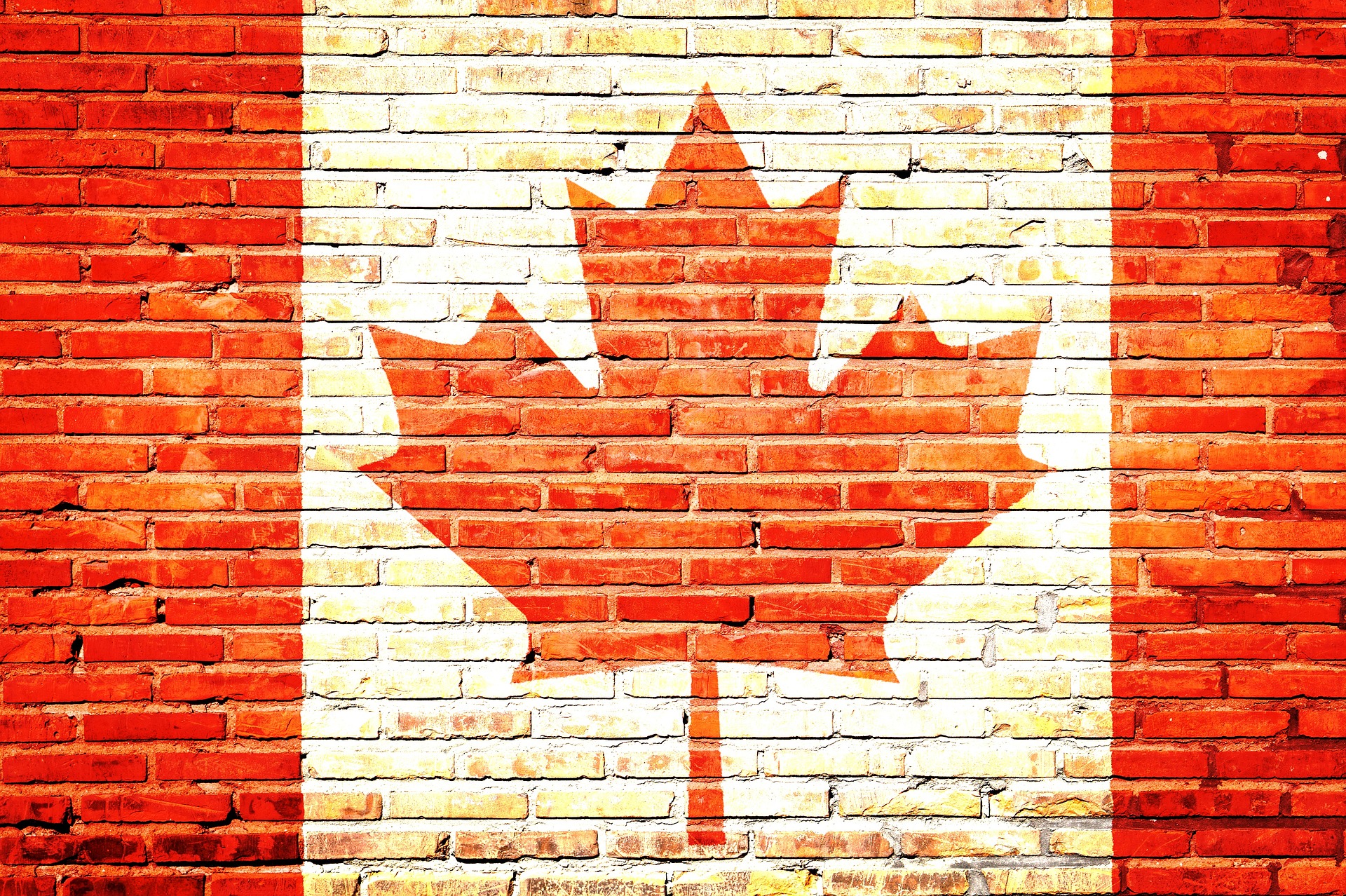 【臺灣調查網】全球民調／加拿大 加內政頻受干預 民調：逾7成國人支持出台法律遏止