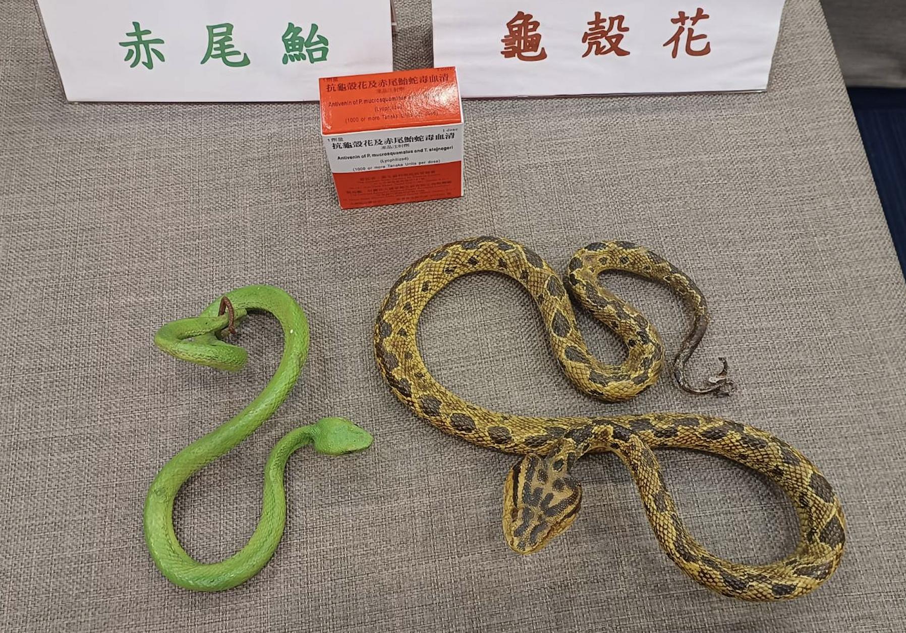 一年千人遭咬   台灣五大毒蛇「咬人王」是它！清明上山得懂保命口訣