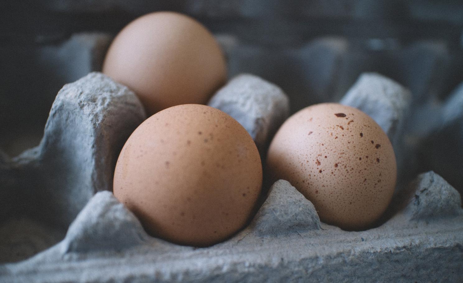 缺蛋！發育中兒童怎辦？   營養師曝「跟雞蛋一樣優的蛋白質」名單