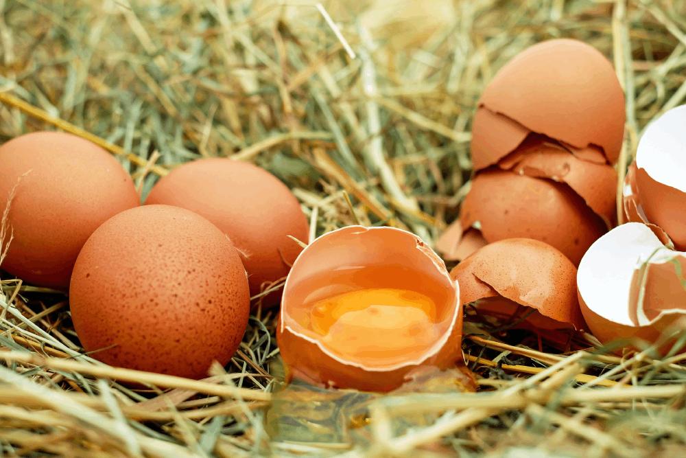 Eggs by Couleur