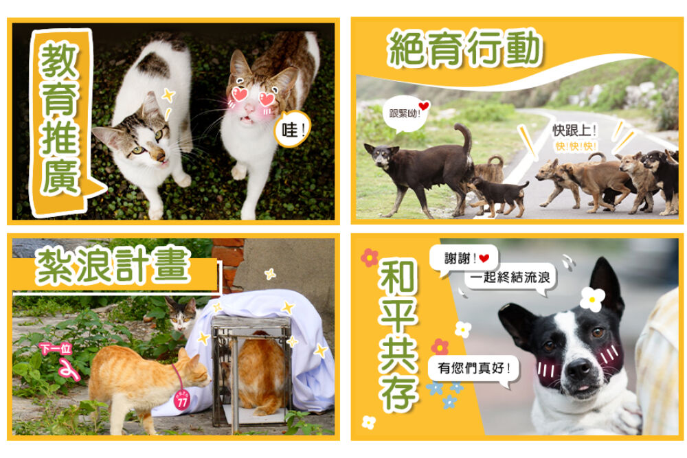 守護浪浪！福壽攜手momo支持台灣之心愛護動物協會全面絕育計畫